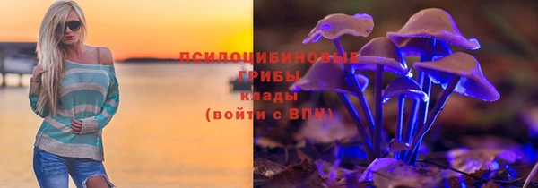 дурь Надым