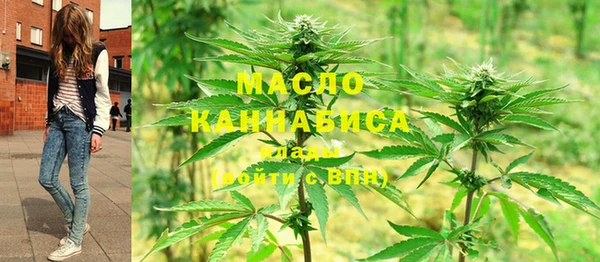 дурь Надым