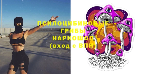 дурь Надым