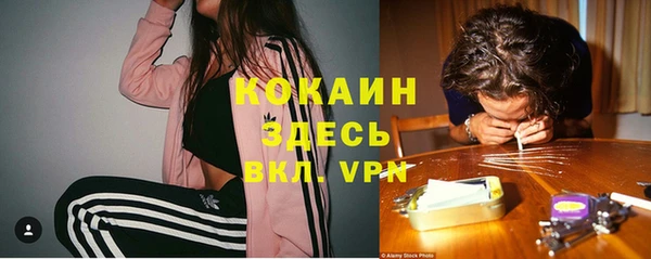 дурь Надым