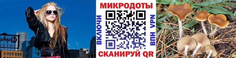 Псилоцибиновые грибы прущие грибы  Суворов 